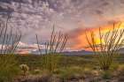 USA-Arizona-Santa Cruz County Sunset on desert Art Print